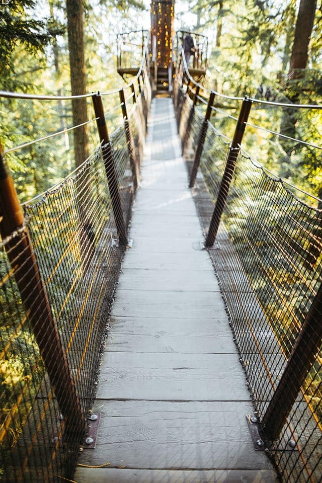 Suspension bridge